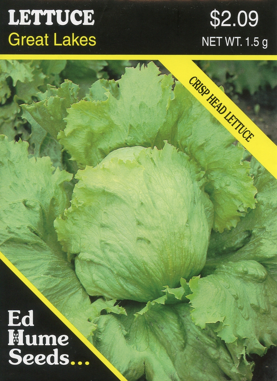 Great Lakes Lettuce