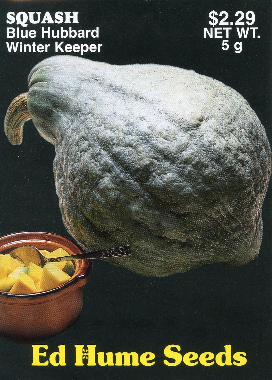 Blue Hubbard Squash