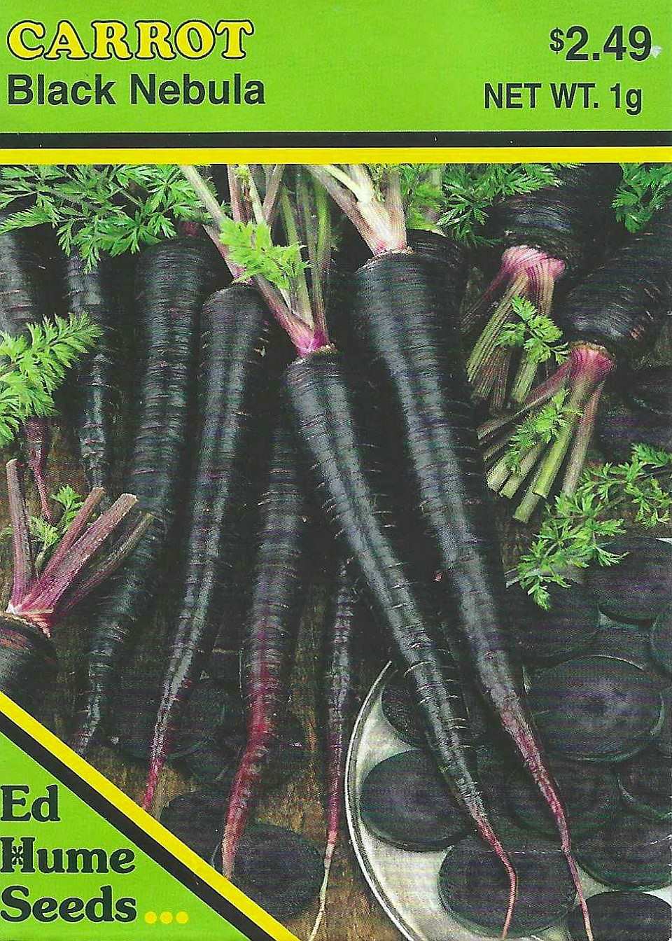 Carrot - Black Nebula