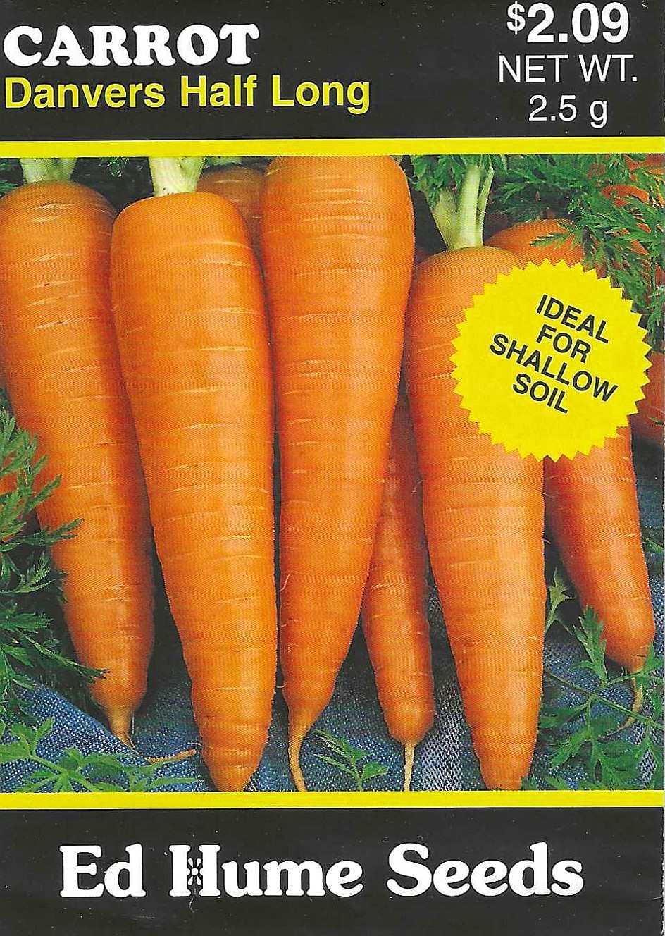 Carrot - Danvers Half Long