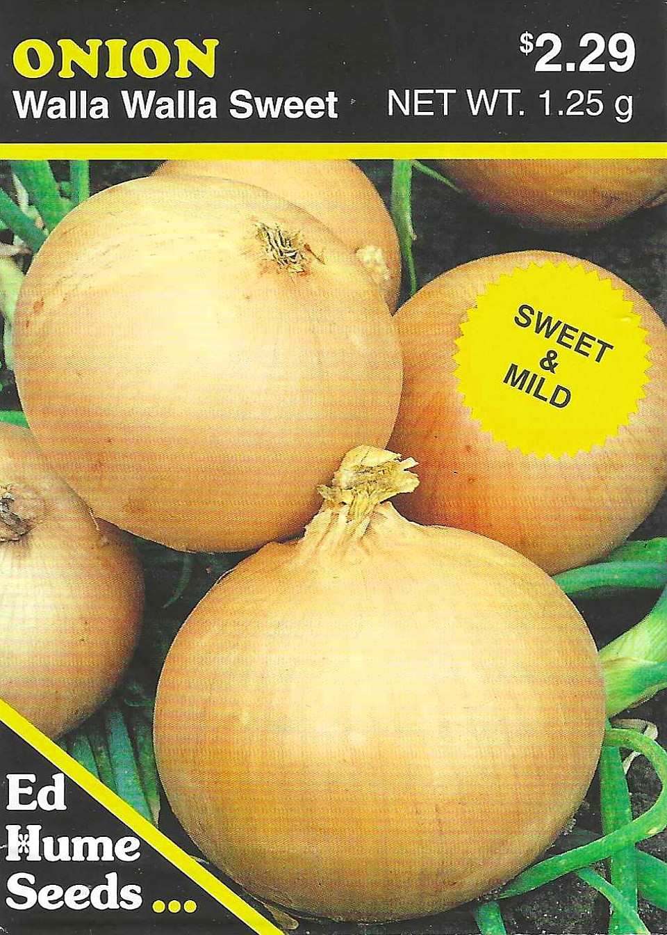 Onion - Walla Walla Sweet
