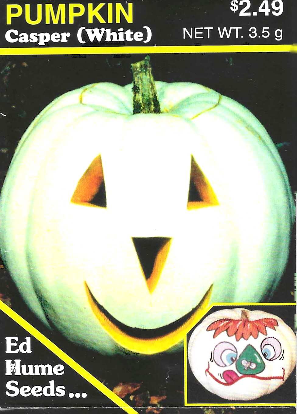 Pumpkin - Casper, White
