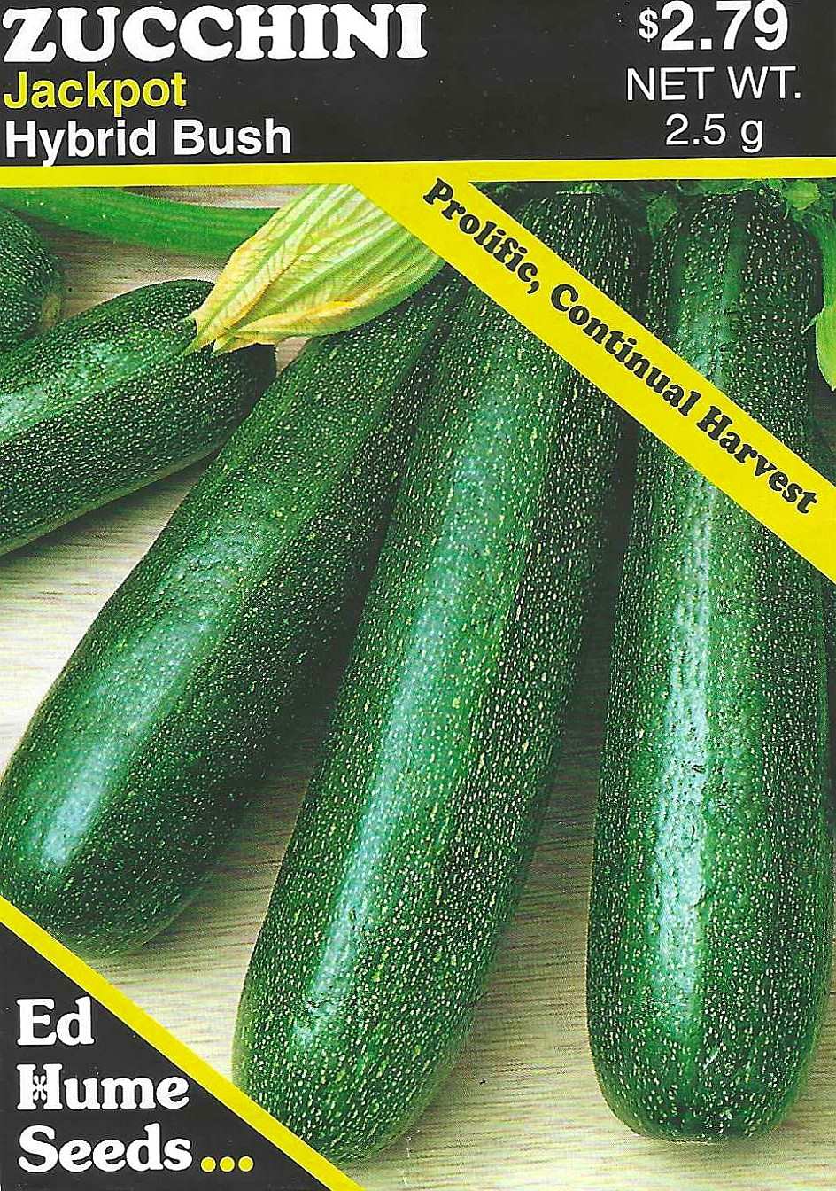 Zucchini - Jackpot, Hybrid Bush