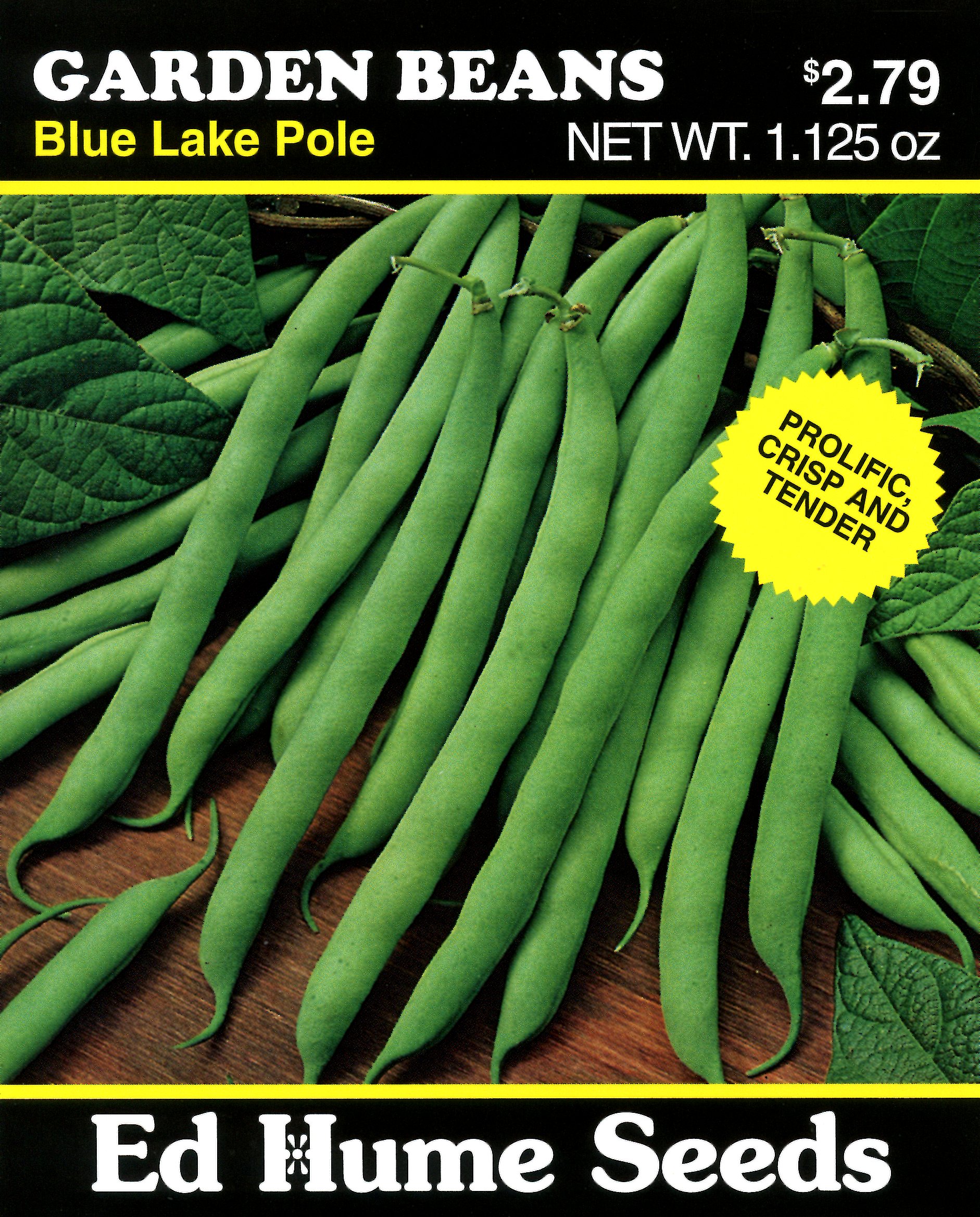 Blue Lake Pole Beans