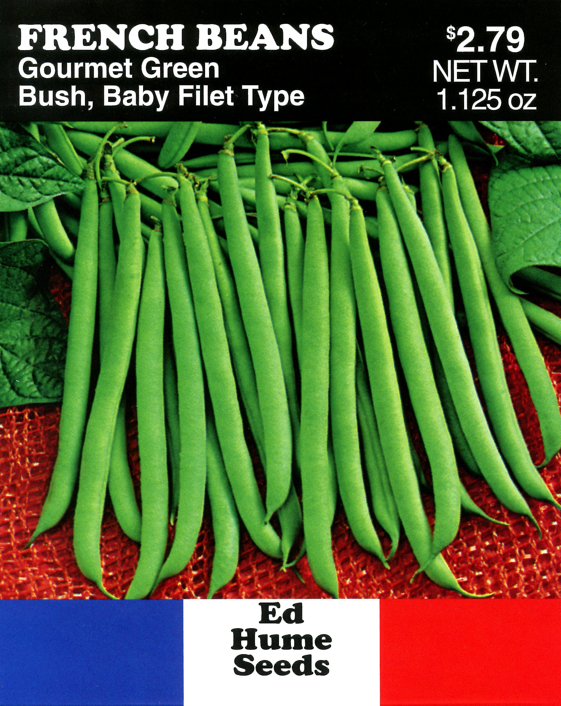 Gourmet Green Bush Beans