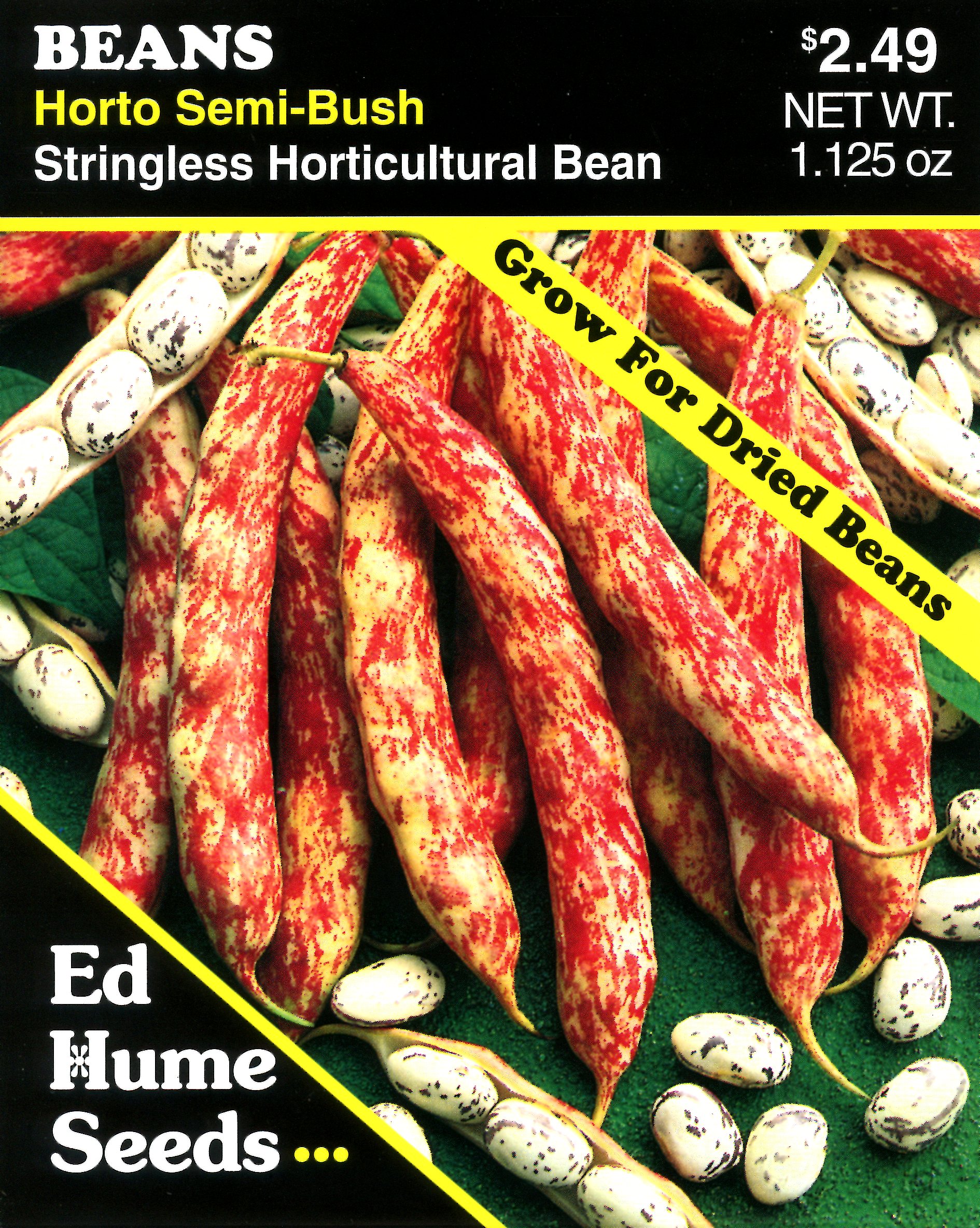 French Horticultural Beans