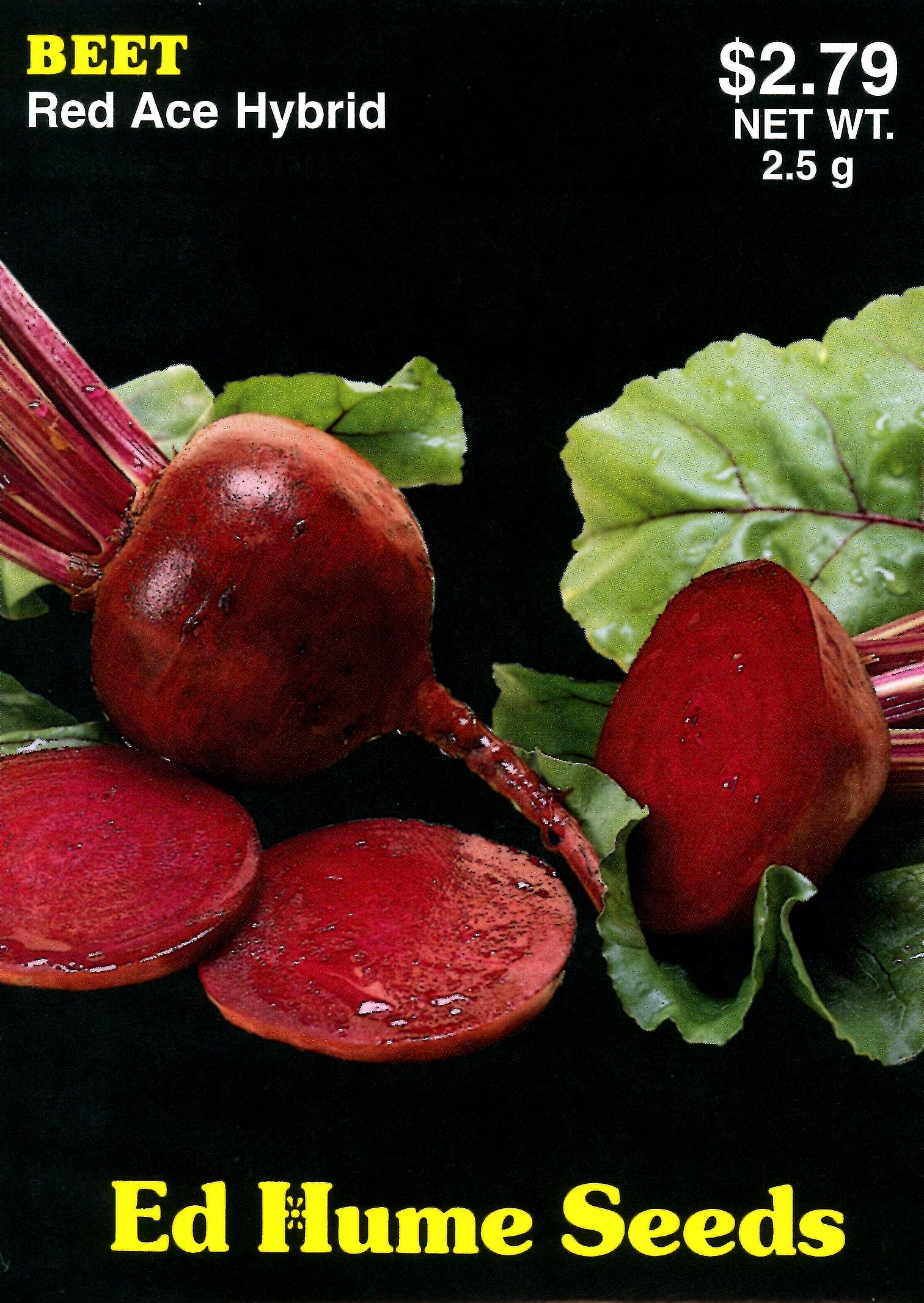 Red Ace Hybrid Beet