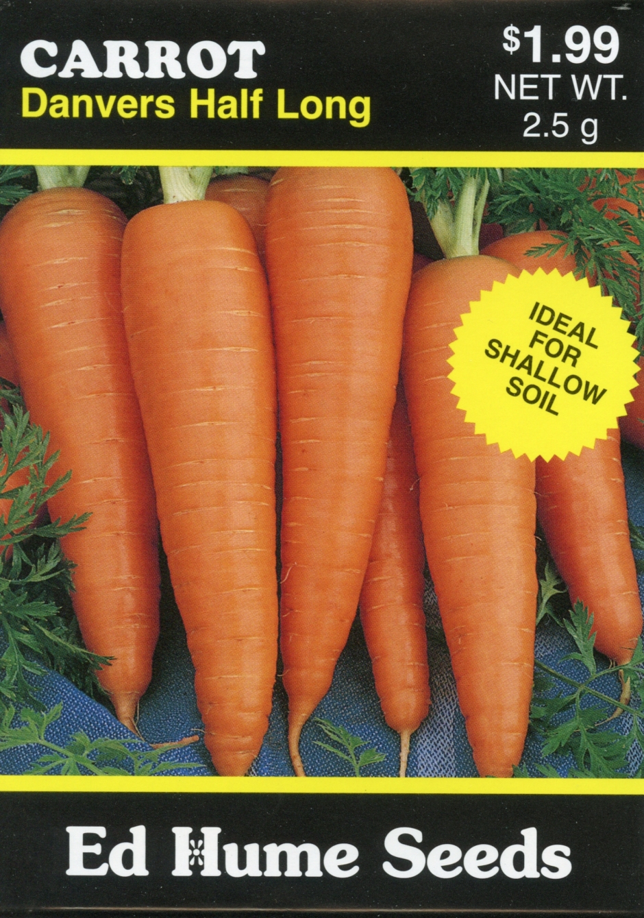 Carrot - Danvers Half Long