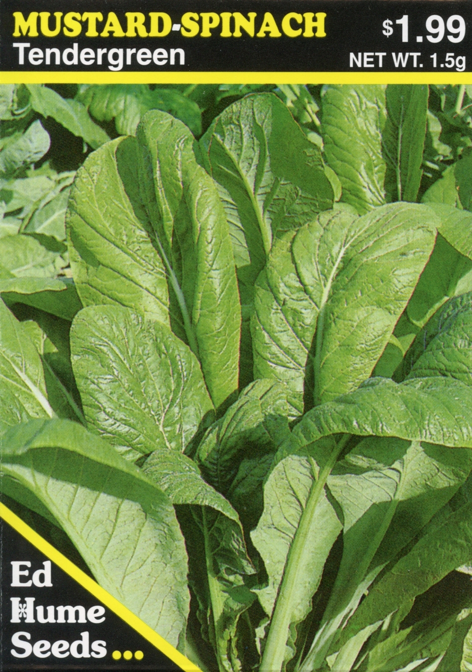 Mustard-Spinach – Tendergreen – humeseeds.com
