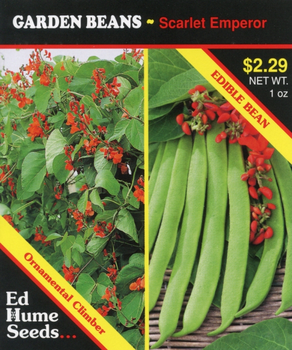 Garden Beans - Scarlet Emperor