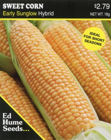 Sweet Corn - Early Sunglow