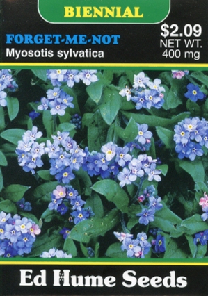 Forget Me Not (Myosotis sylvatica) - 100 Seeds