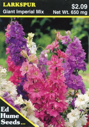 Larkspur - Giant Imperial Mix