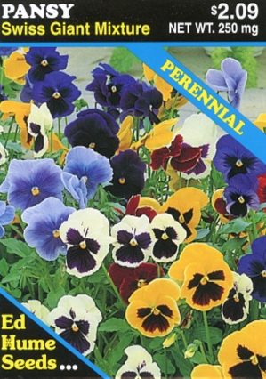 Pansy - Swiss Giant Mixture