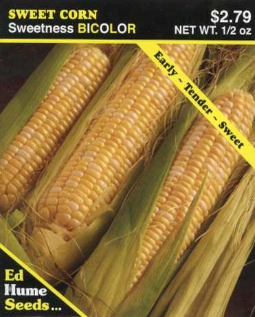 Corn - Sweetness Bicolor