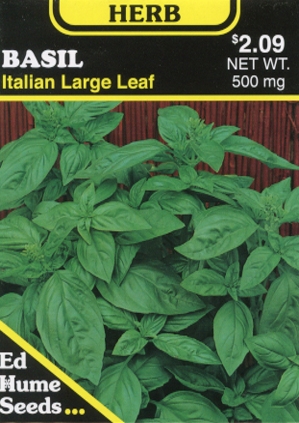 Basil - Italian Large Leaf