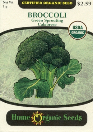 Broccoli - Green Sprouting Calabrese Organic