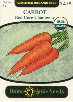 Carrot - Red Core Chantenay Organic