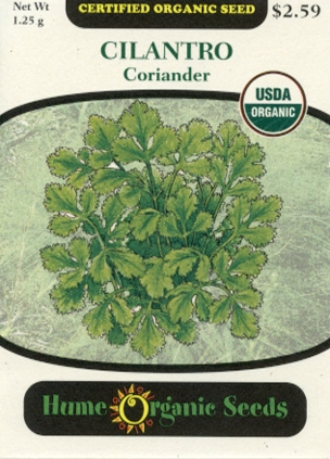 Cilantro - Coriander Organic