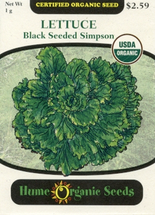 Lettuce - Black Seeded Simpson Organic