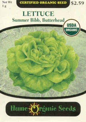 Lettuce - Summer Bibb, Butterhead