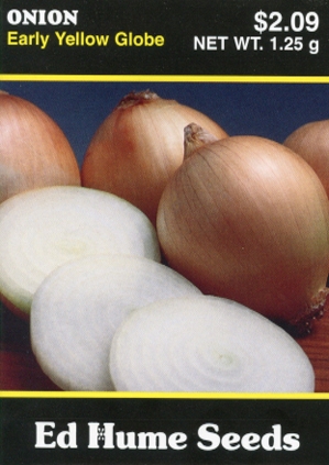 Onion - Early Yellow Globe