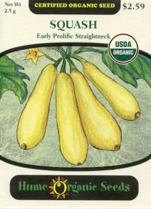Squash - Early Prolific Straightneck Organic