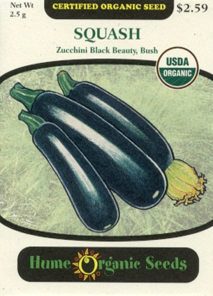 Squash - Zucchini Black Beauty Organic