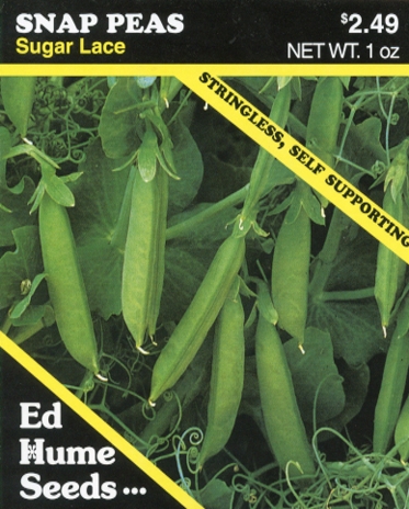Snap Peas – Sugar Lace – Hume Seeds