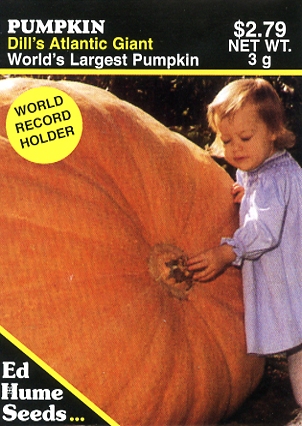 Pumpkin - Dill's Atlantic Giant