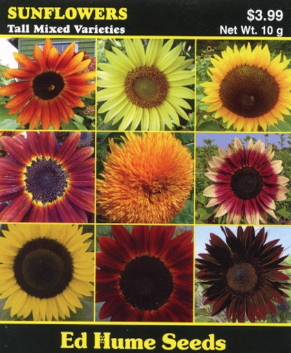 Sunflower - Tall Mixture, Jumbo Packet