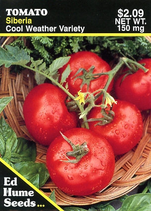 Tomato - Siberia, Cool Weather Variety