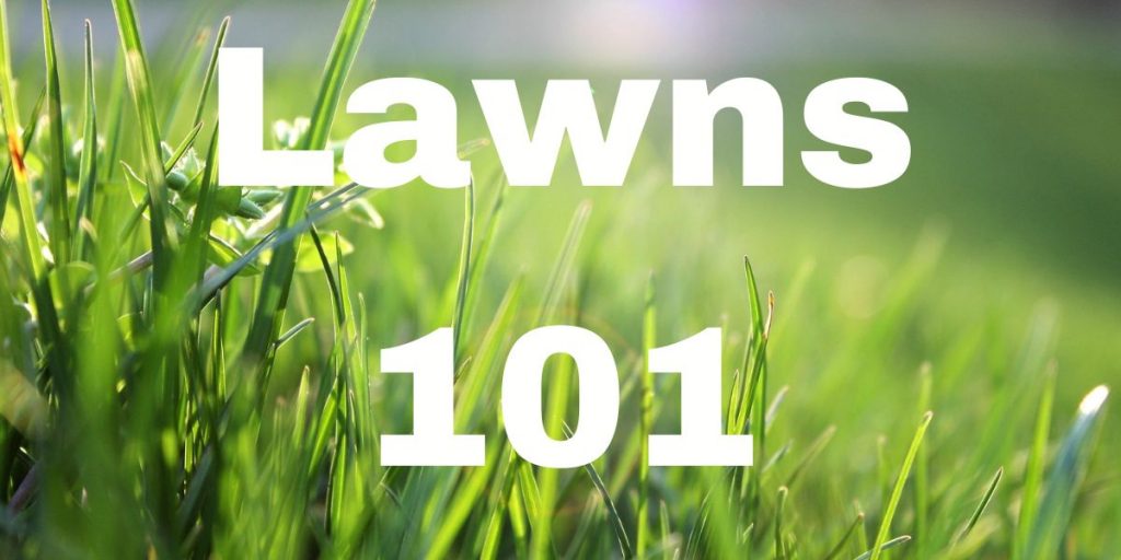 Lawns 101