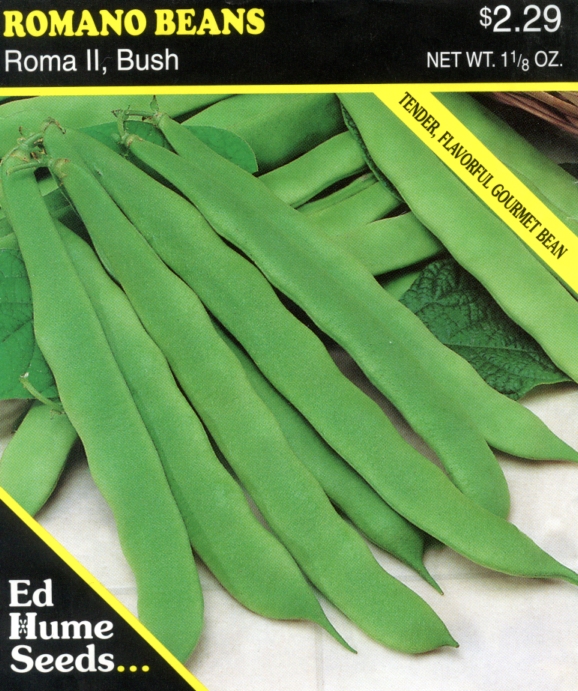 Beans - Roma II, Bush, Romano Beans