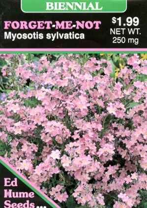 Forget-Me-Not Pink - Myosotis sylvatica