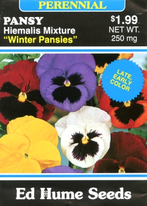 Pansy - Hiemalis Mixture, "Winter Pansies"