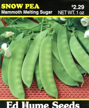 Peas - Mammoth Melting Sugar, Snow Pea, Semi-Pole