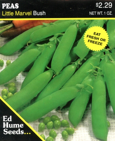 Peas - Little Marvel Bush