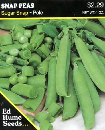 Snap Peas - Sugar Snap Pole