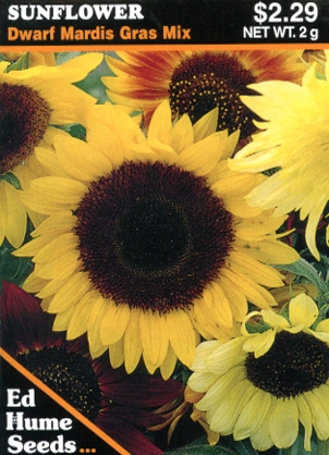 Sunflower - Dwarf Mardi Gras Mix